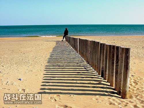 rangée de piquets destinés à retenir le sable sur la plage entre Sète et Agde.jpg