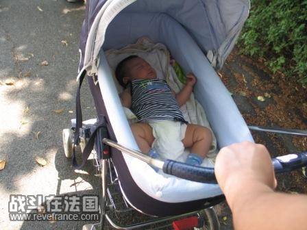 上周刚拍的. 我家花生个头比较大,已经7公斤了,躺在里面也还是很舒服的.
