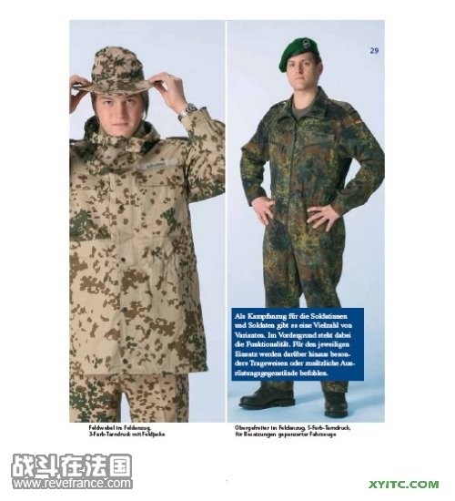 fvdsvds.jpg