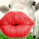 50315.gif