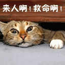 526734.gif