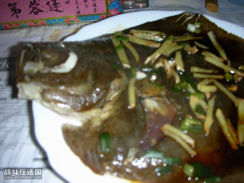 调整大小 DSCN1476duobaoyu2.jpg