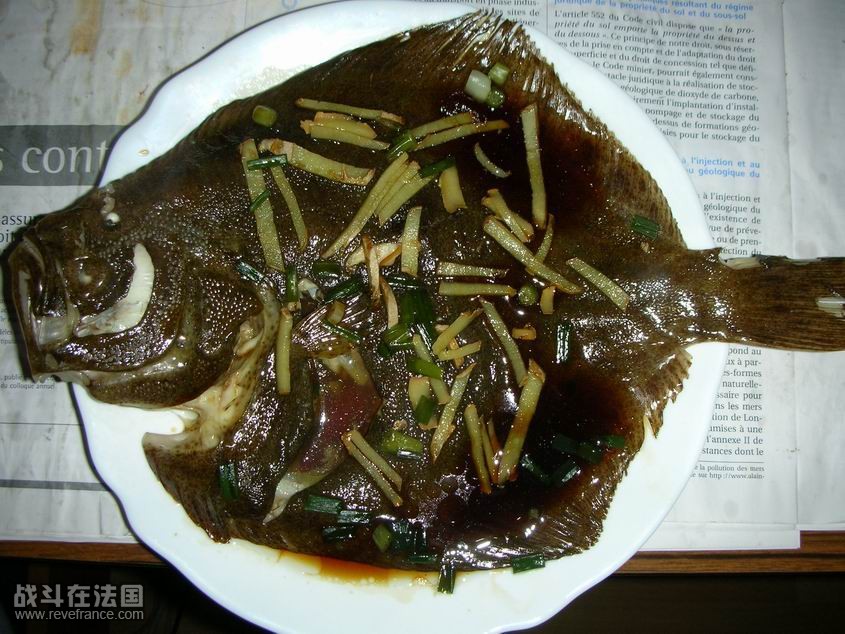 调整大小 DSCN1475duobaoyu1.jpg
