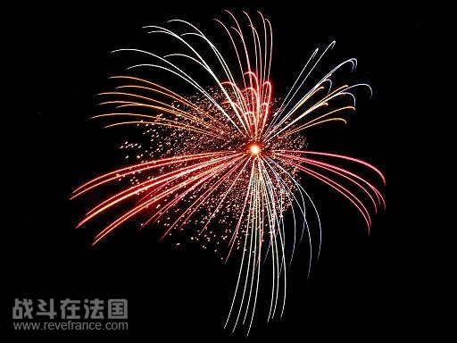 烟花.jpg