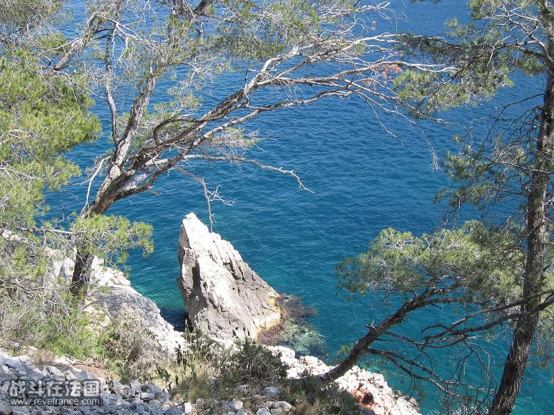 这里有小王子说的，世上最让人悲伤的风景