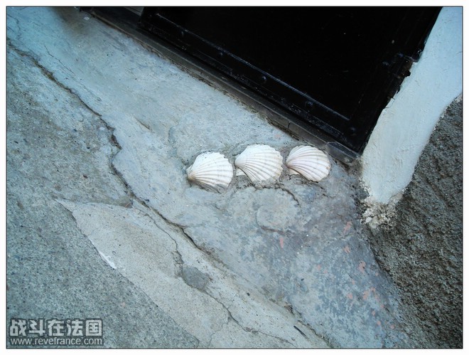 家门口的贝壳