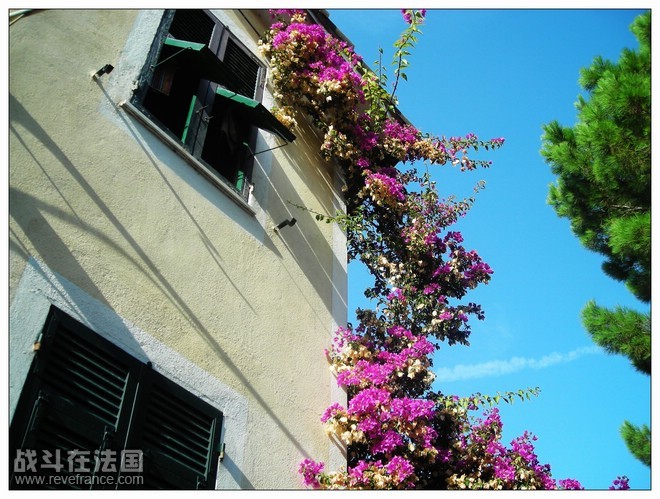 小镇的民居装点的多么俏丽
