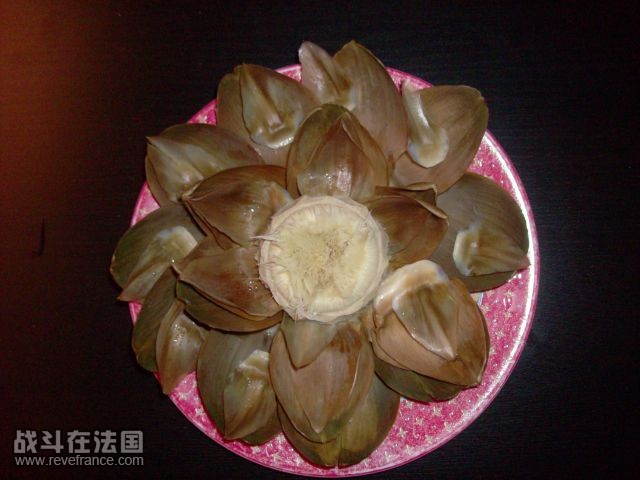 Photo 350.jpg