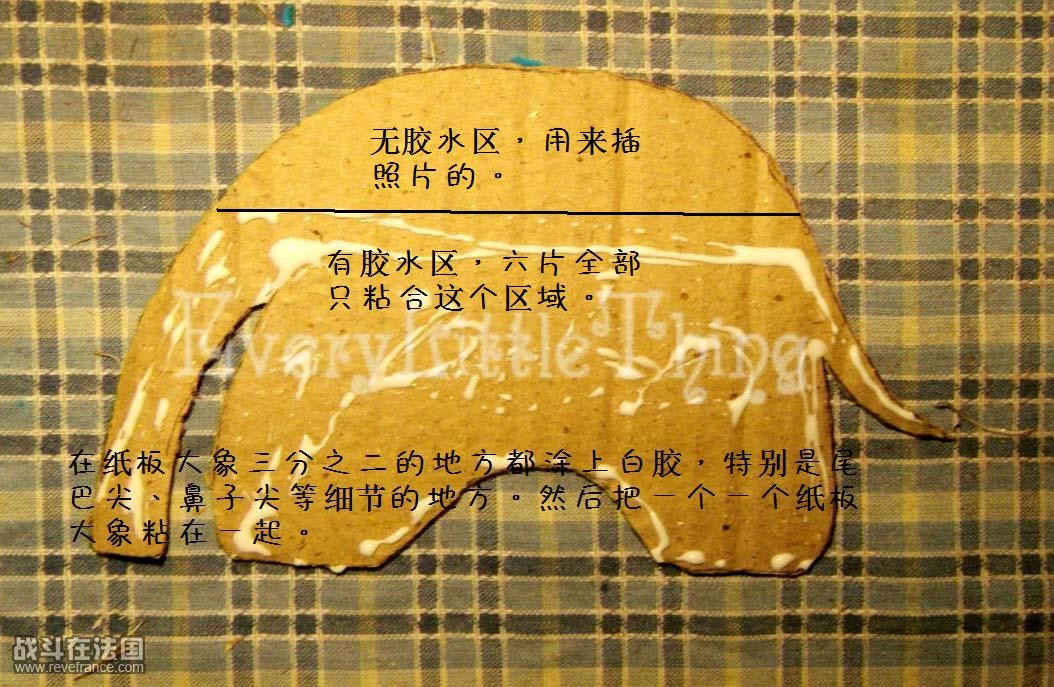 S73F1626.JPG