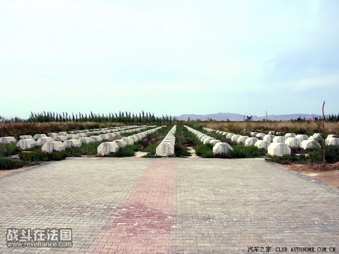 4ec260b1-038d-4acd-81c4-7d47416d1d7a.jpg