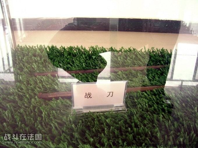 fbfe2e4c-3c0e-4669-aa64-a1565caeda00.jpg