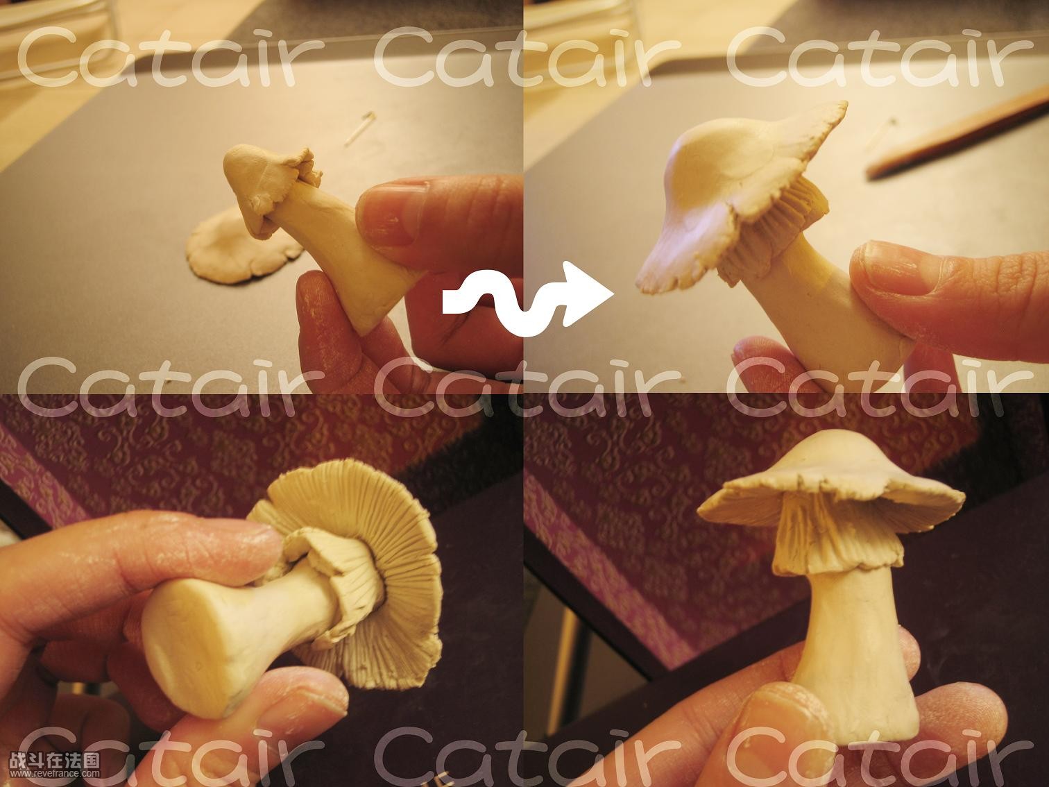 Copie de 05BIS.jpg