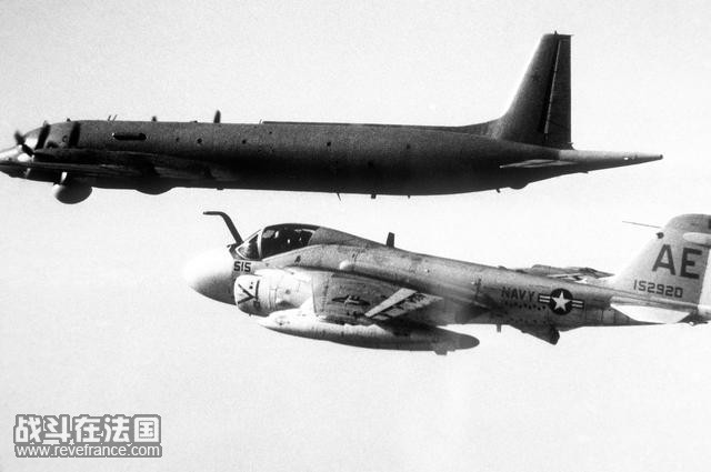 IL-38-1.jpg