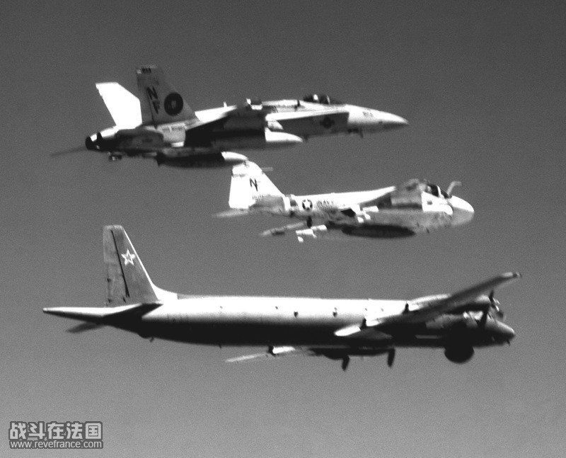 IL-38-2.jpg