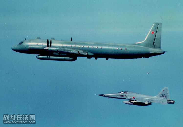 IL-38-7.jpg