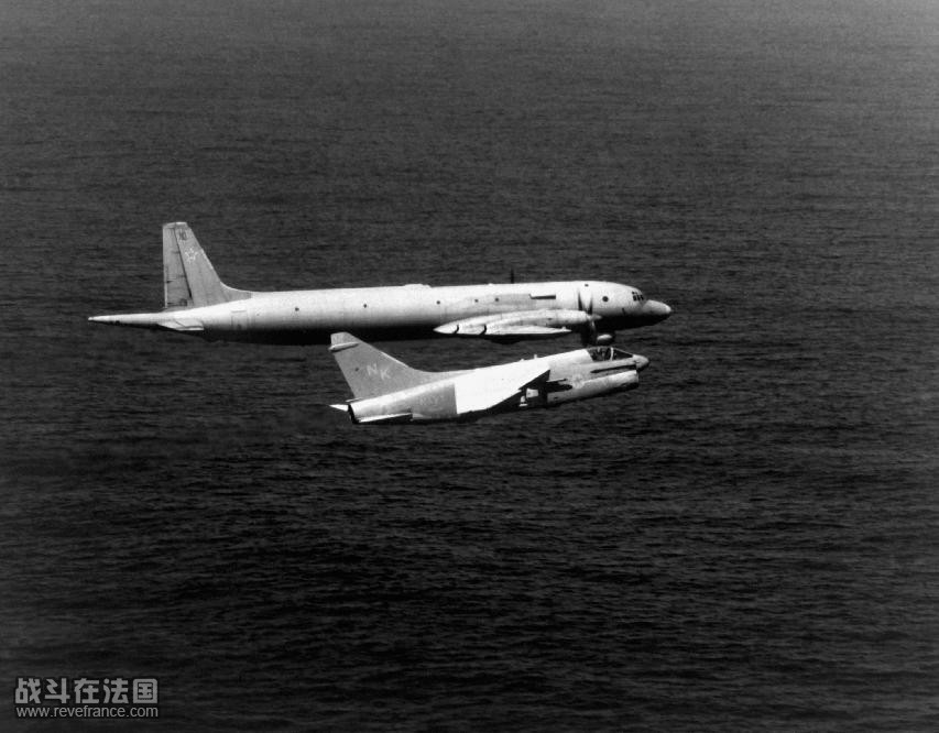 IL-38-3.jpg
