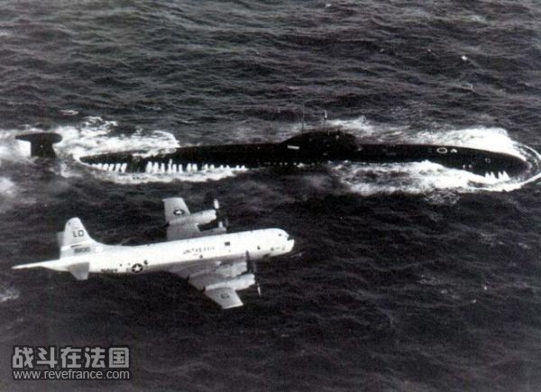 SEA-7.jpg