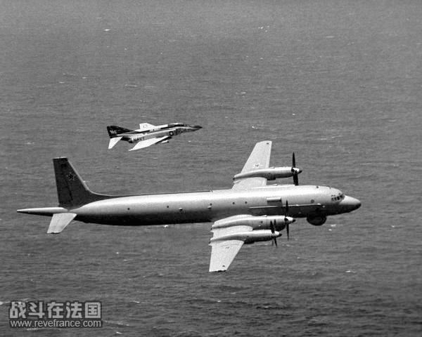 IL-38-5.jpg