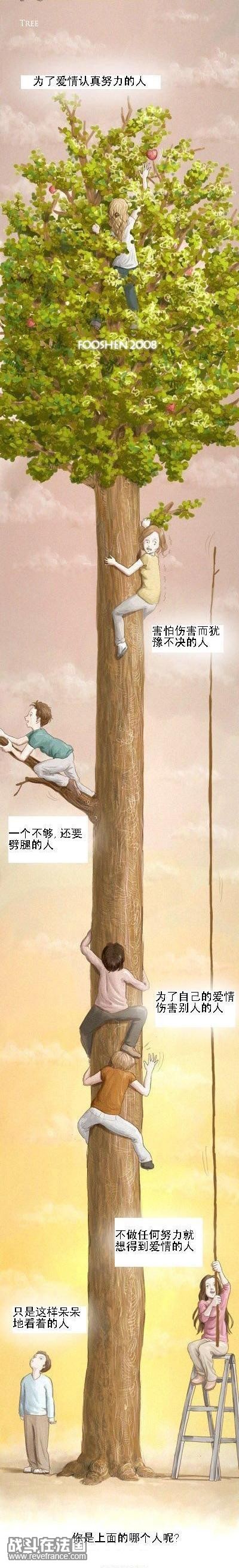 无标题.JPG