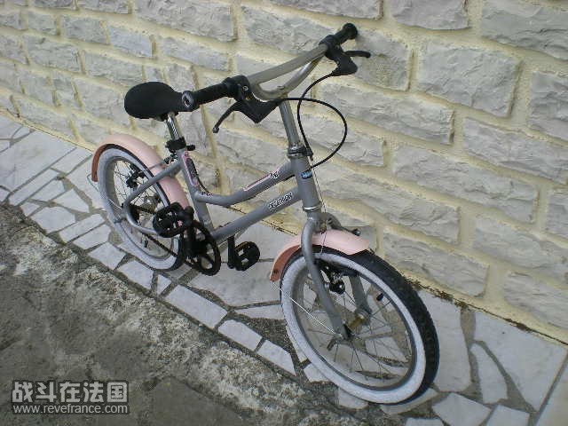 10 069.jpg