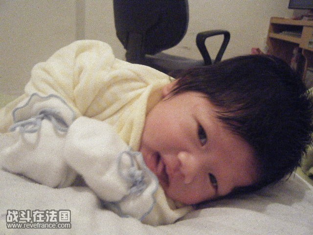 照片 252.jpg