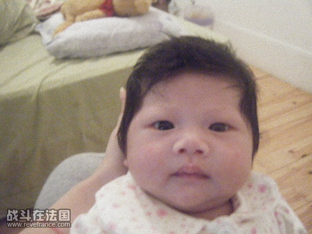照片 267.jpg