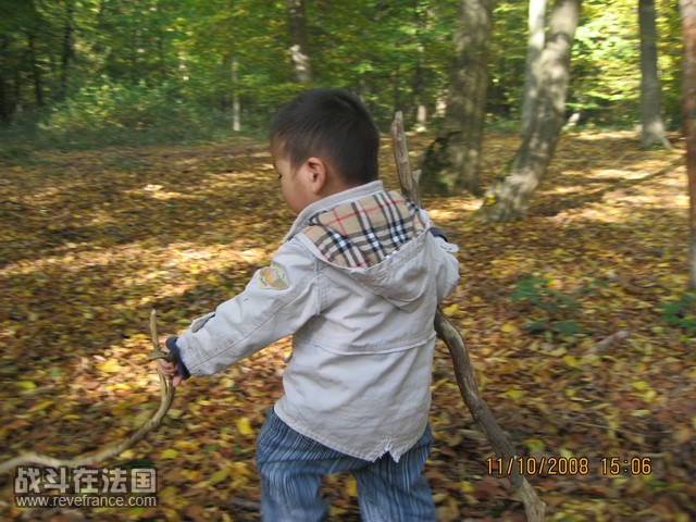 foret 111008 020_调整大小.JPG