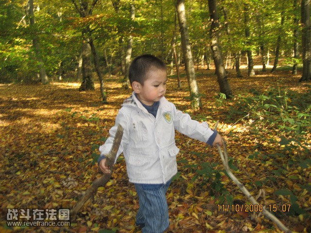 foret 111008 021_调整大小.JPG