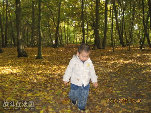 foret 111008 005_调整大小.JPG