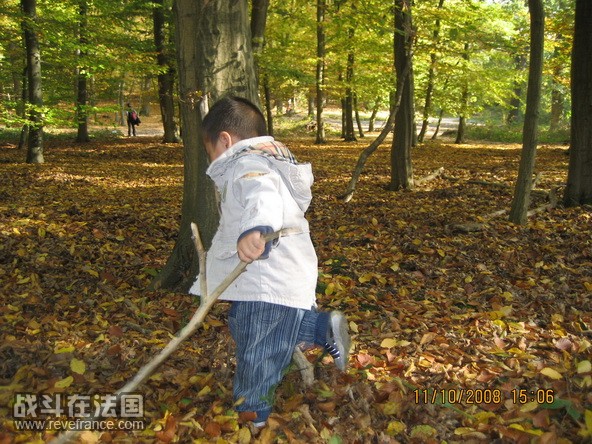foret 111008 019_调整大小.JPG