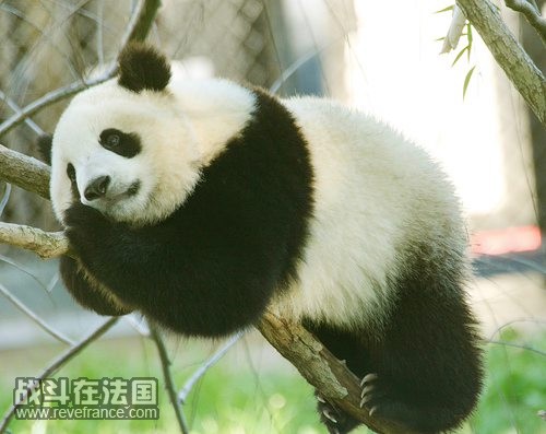 edu.qq.com__12412178.jpg