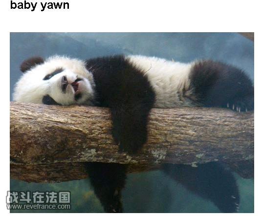 edu.qq.com__12412181.jpg