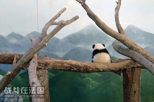 edu.qq.com__12412188.jpg