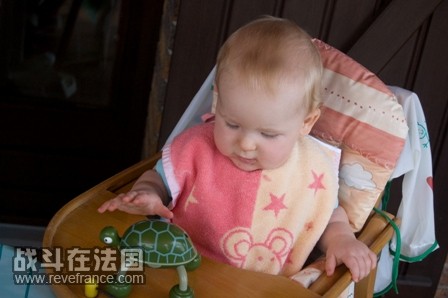 一只会动的小乌龟，是舅妈的按摩仪