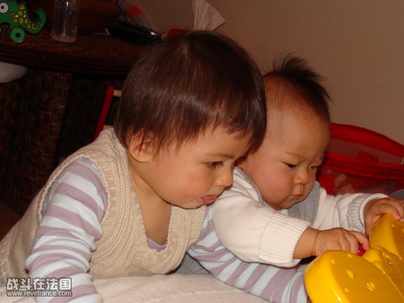 DSC03930.JPG