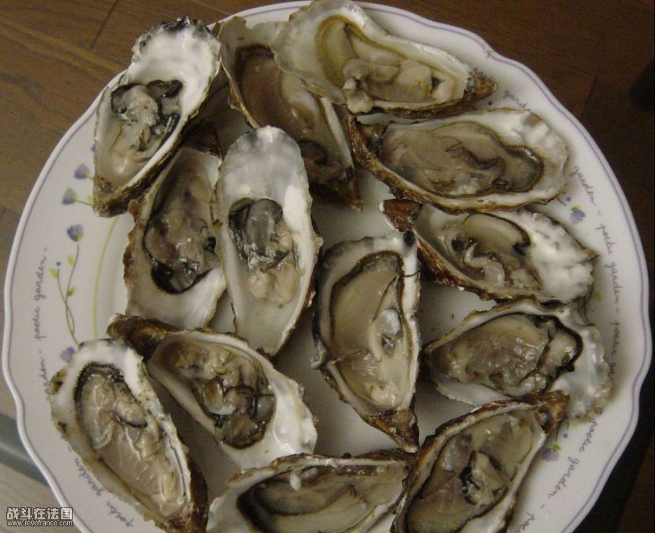 DSC01479.JPG