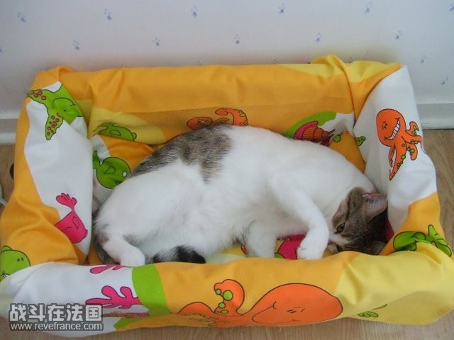 DSCF4793.jpg