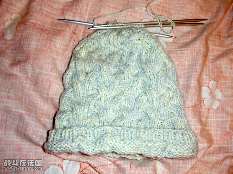 DSCF2491.jpg