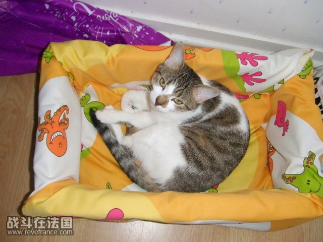 DSCF4783.jpg