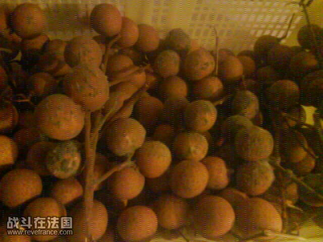photo001.JPG