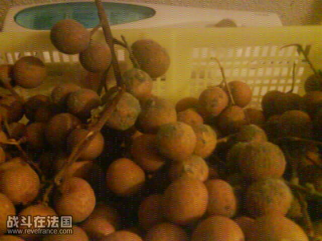 photo002.JPG