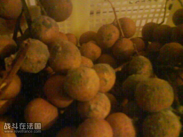 photo003.JPG