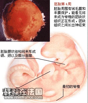 1～4周.jpg