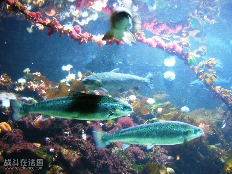 DSCF4889.JPG