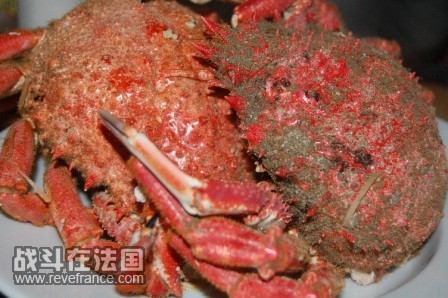 这个是珍宝蟹吧，买的活的