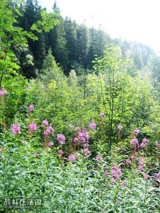 DSCF4876.JPG