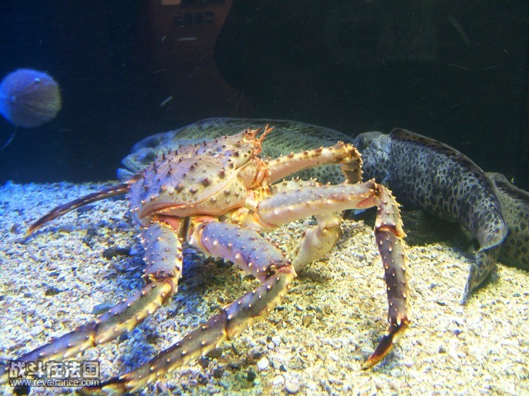 DSCF4898.JPG
