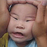 64447.gif