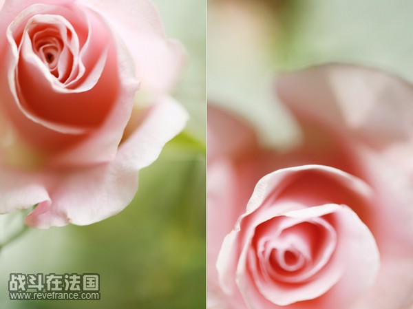large_11547h56.jpg