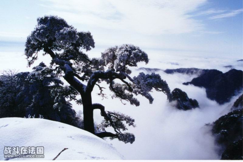 黄山冬雪9.jpg